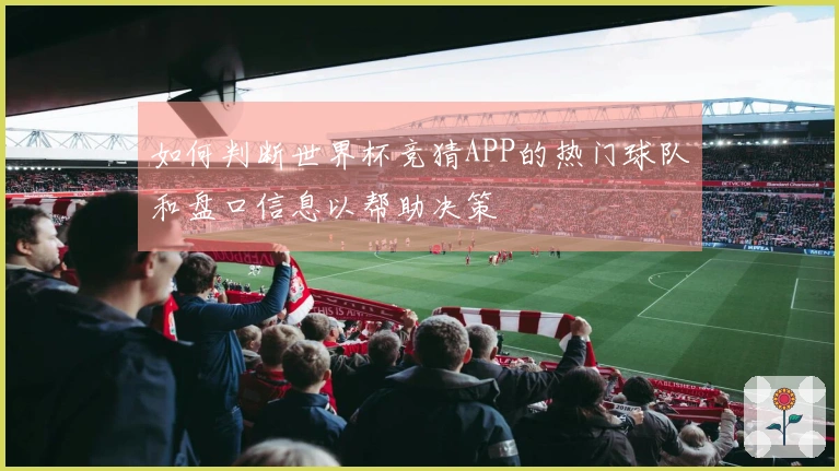 如何判断世界杯竞猜APP的热门球队和盘口信息以帮助决策