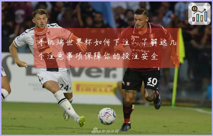 手机端世界杯如何下注?了解这几个注意事项保障你的投注安全