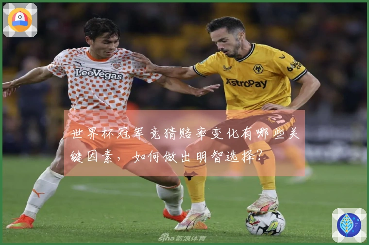 世界杯冠军竞猜赔率变化有哪些关键因素，如何做出明智选择？