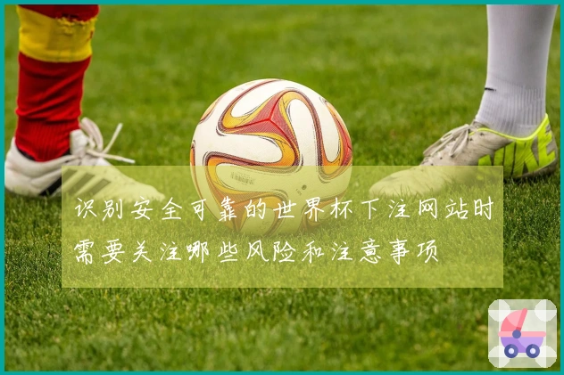 识别安全可靠的世界杯下注网站时需要关注哪些风险和注意事项