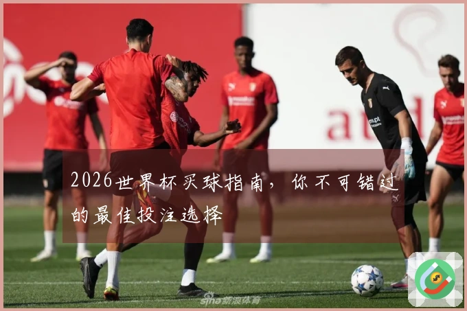 2026世界杯买球指南，你不可错过的最佳投注选择