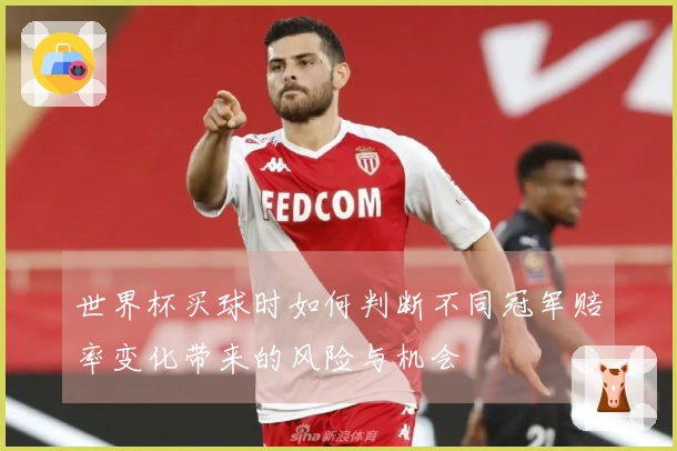 世界杯买球时如何判断不同冠军赔率变化带来的风险与机会