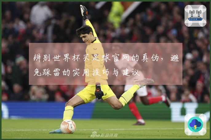 辨别世界杯买足球官网的真伪，避免踩雷的实用技巧与建议