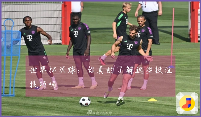 世界杯买球，你真的了解这些投注技巧吗