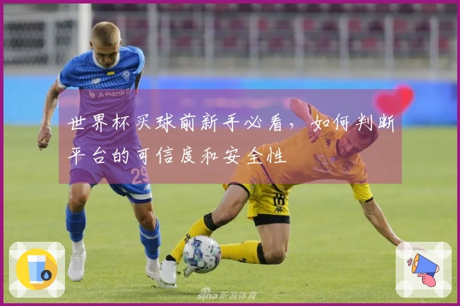 世界杯买球前新手必看，如何判断平台的可信度和安全性