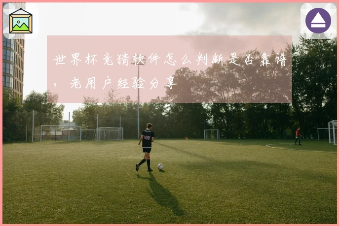 世界杯竞猜软件怎么判断是否靠谱，老用户经验分享