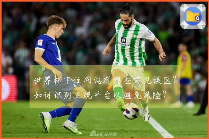 世界杯下注网站有哪些常见误区？如何识别正规平台以避免风险？