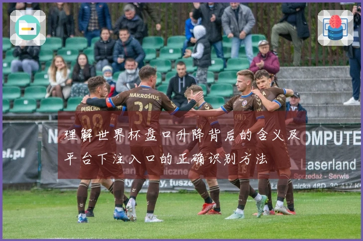 理解世界杯盘口升降背后的含义及平台下注入口的正确识别方法