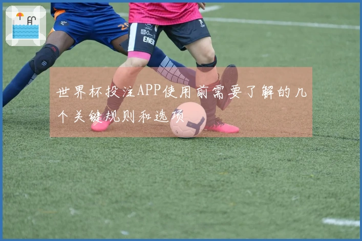 世界杯投注APP使用前需要了解的几个关键规则和选项