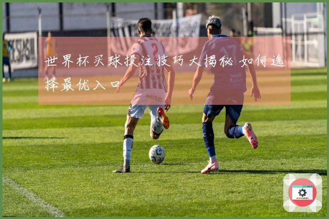 世界杯买球投注技巧大揭秘 如何选择最优入口