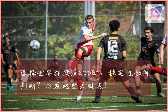 选择世界杯投注app时，稳定性如何判断？注意这些关键点！