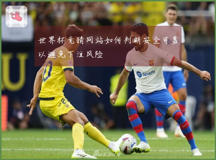 世界杯竞猜网站如何判断安全可靠以避免下注风险