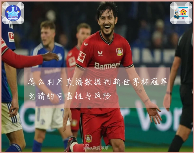 怎么利用直播数据判断世界杯冠军竞猜的可靠性与风险