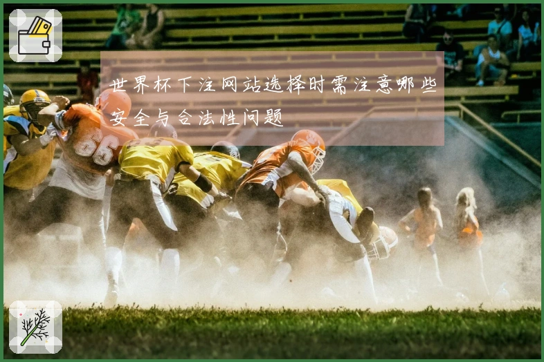 世界杯下注网站选择时需注意哪些安全与合法性问题