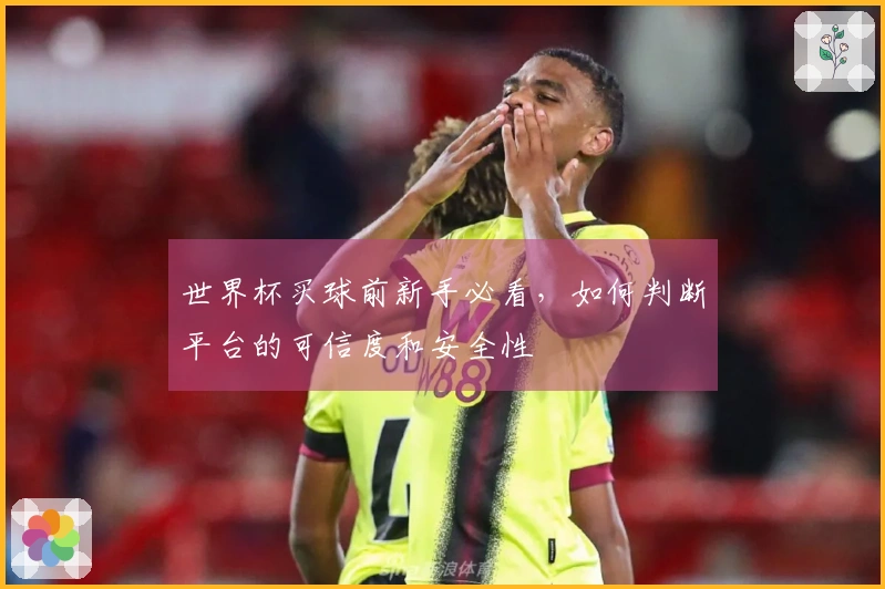 世界杯买球前新手必看，如何判断平台的可信度和安全性