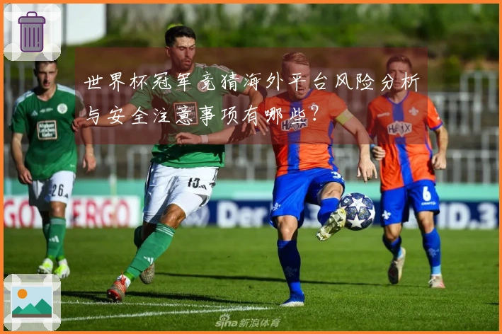 世界杯冠军竞猜海外平台风险分析与安全注意事项有哪些？