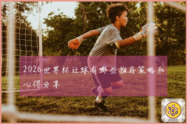 2026世界杯让球有哪些推荐策略和心得分享