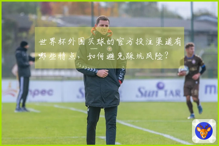 世界杯外围买球的官方投注渠道有哪些特点，如何避免踩坑风险？