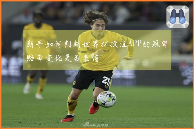 新手如何判断世界杯投注APP的冠军赔率变化是否靠谱