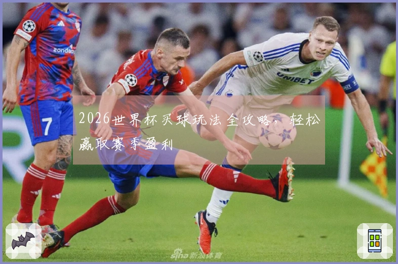 2026世界杯买球玩法全攻略，轻松赢取赛季盈利