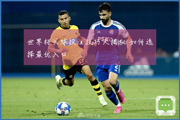 世界杯买球投注技巧大揭秘 如何选择最优入口